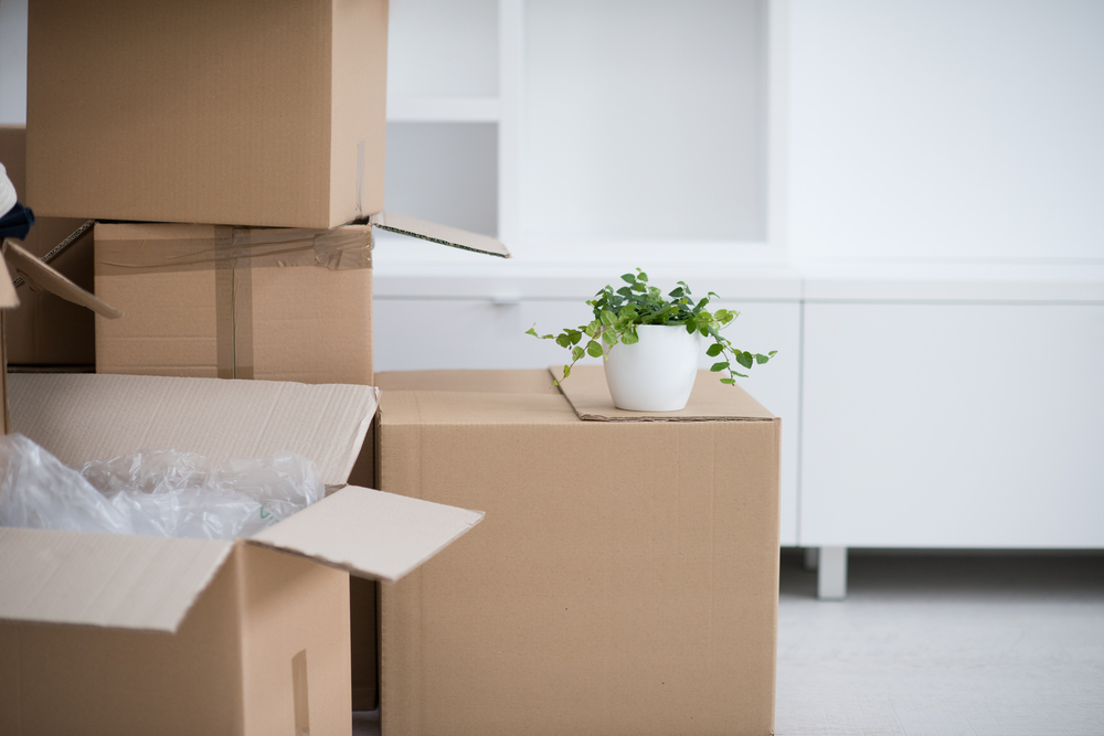 moving boxes